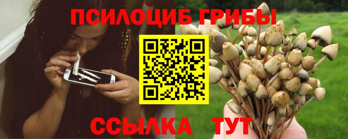 Псилоцибиновые грибы Cubensis  Псилоцибиновые грибы Cubensis  Вход с VPN  Кашира 